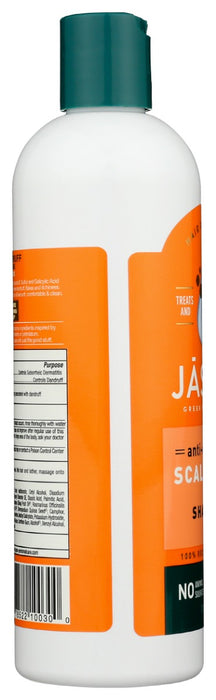 JASON: Anti Dandruff Scalp Care Shampoo, 12 oz