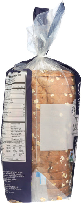 ONE DEGREE: Veganic Lentil Grain Bread, 21 oz